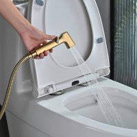 Смеситель с гигиеническим душем Rose R245G