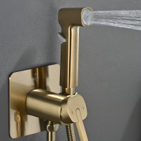 Смеситель с гигиеническим душем Rose R245G