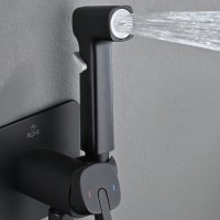 Смеситель с гигиеническим душем Rose R245H