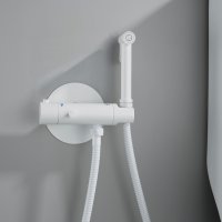 Смеситель с гигиеническим душем Rose R915C