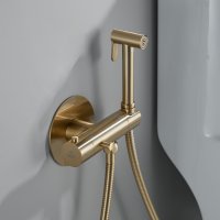 Смеситель с гигиеническим душем Rose R915G