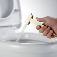 Смеситель с гигиеническим душем Rose R965G