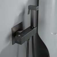 Смеситель с гигиеническим душем Rose R965T