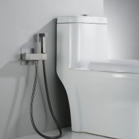 Смеситель с гигиеническим душем Rose R965T