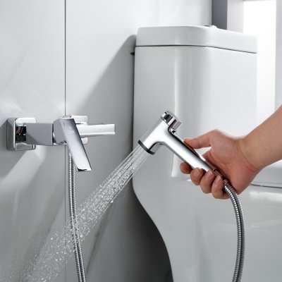 Смеситель с гигиеническим душем Rose R2805-1