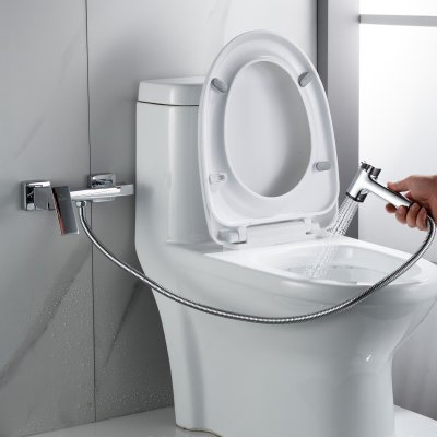 Смеситель с гигиеническим душем Rose R2805-1