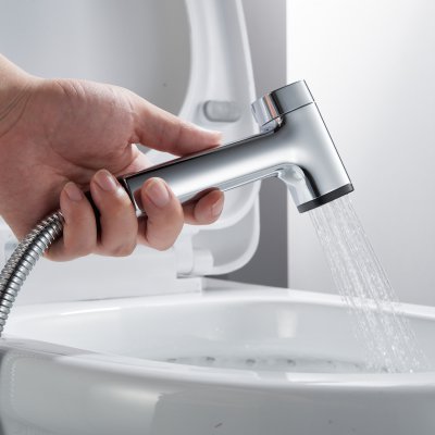 Смеситель с гигиеническим душем Rose R2805-1