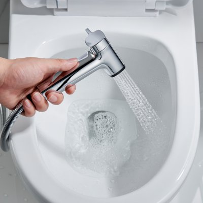 Смеситель с гигиеническим душем Rose R2805-1