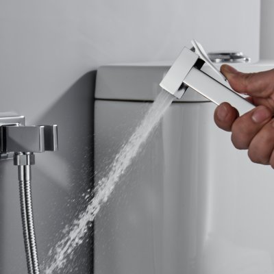 Смеситель с гигиеническим душем Rose R2805