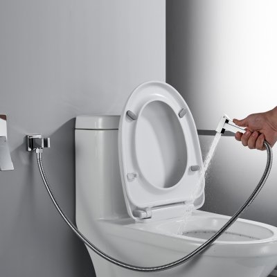 Смеситель с гигиеническим душем Rose R2805