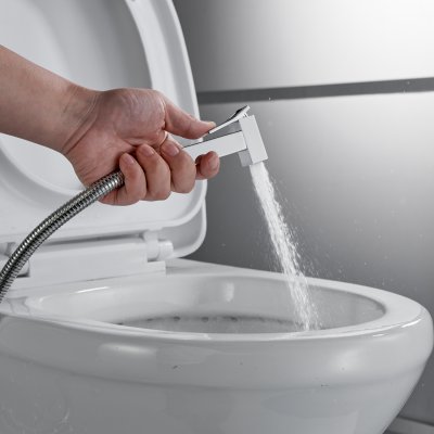 Смеситель с гигиеническим душем Rose R2805