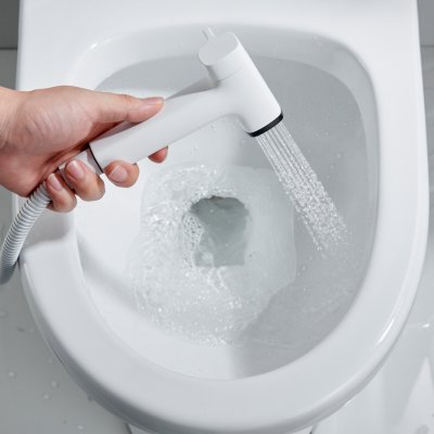 Смеситель с гигиеническим душем Rose R2805C-1