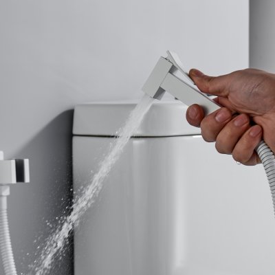 Смеситель с гигиеническим душем Rose R2805C