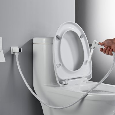 Смеситель с гигиеническим душем Rose R2805C