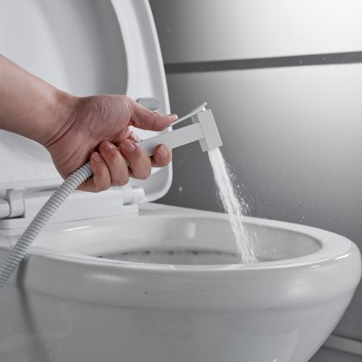 Смеситель с гигиеническим душем Rose R2805C