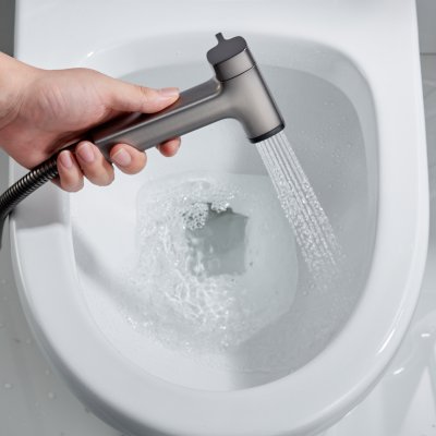 Смеситель с гигиеническим душем Rose R2805T-1