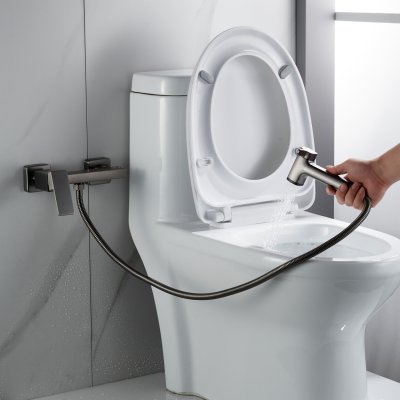 Смеситель с гигиеническим душем Rose R2805T-1