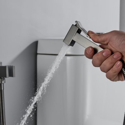 Смеситель с гигиеническим душем Rose R2805T