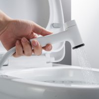 Смеситель с гигиеническим душем Rose R2805C-1