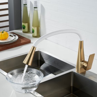 Смеситель для кухни Shevanik S543G-1