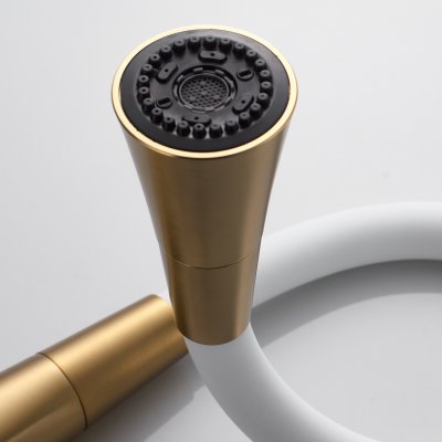 Смеситель для кухни Shevanik S543G-1