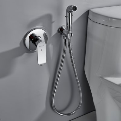 Смеситель с гигиеническим душем Shevanik S4505