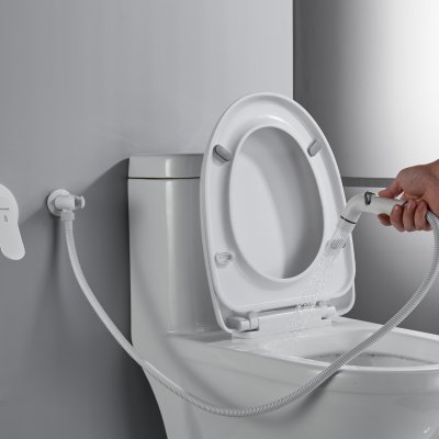 Смеситель с гигиеническим душем Shevanik S4505C