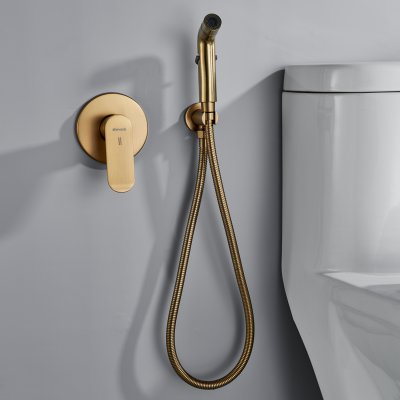 Смеситель с гигиеническим душем Shevanik S4505G