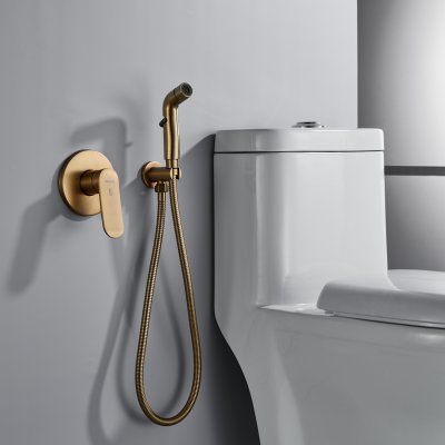 Смеситель с гигиеническим душем Shevanik S4505G