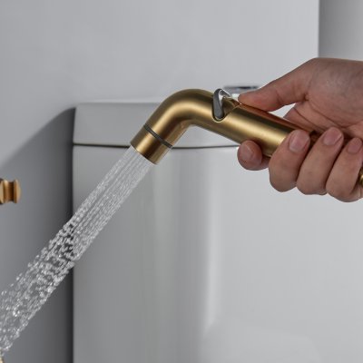 Смеситель с гигиеническим душем Shevanik S4505G