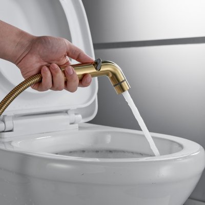 Смеситель с гигиеническим душем Shevanik S4505G