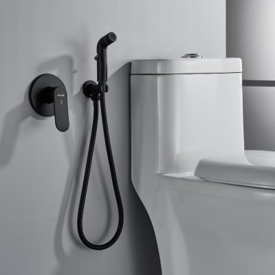 Смеситель с гигиеническим душем Shevanik S4505H