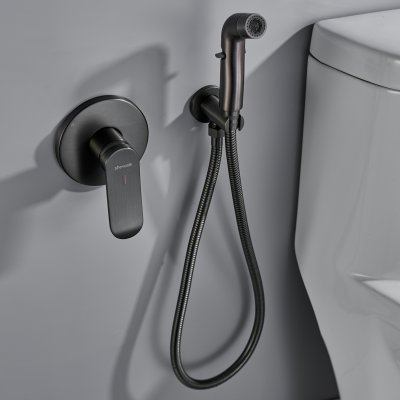 Смеситель с гигиеническим душем Shevanik S4505T