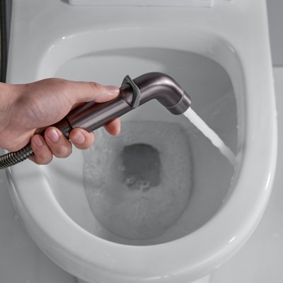 Смеситель с гигиеническим душем Shevanik S4505T