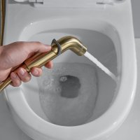 Смеситель с гигиеническим душем Shevanik S4505G