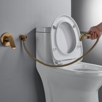 Смеситель с гигиеническим душем Shevanik S4505G