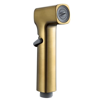 Гигиеническая лейка Rose RH81G