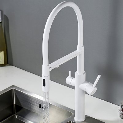 Смеситель для кухни Shevanik S478C