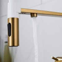 Смеситель для кухни Shevanik S478G