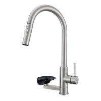 Смеситель для кухни с выдвижной лейкой Prohanss P45.49.05