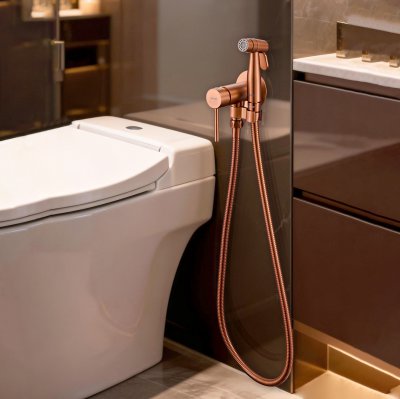 Смеситель с гигиеническим душем Gappo G7206-43