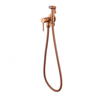 Смеситель с гигиеническим душем Gappo G7206-43