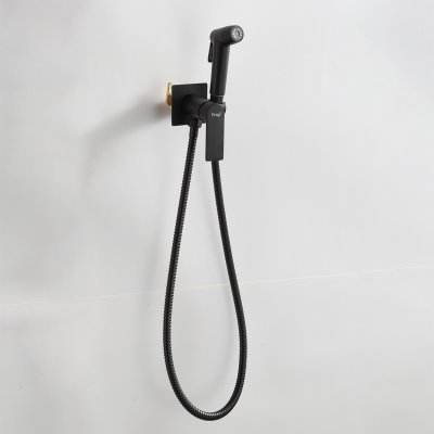 Смеситель с гигиеническим душем Frap F7571-6