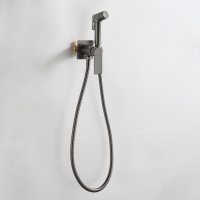 Смеситель с гигиеническим душем Frap F7571-9
