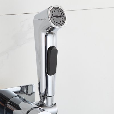 Смеситель с гигиеническим душем Frap F7586-2