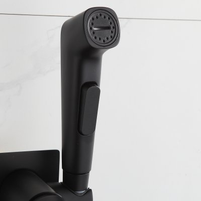 Смеситель с гигиеническим душем Frap F7586-26