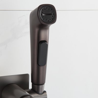Смеситель с гигиеническим душем Frap F7586-29