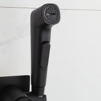 Смеситель с гигиеническим душем Frap F7586-26