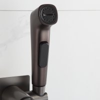 Смеситель с гигиеническим душем Frap F7586-29