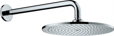 Верхний душ Hansgrohe Raindance 27493000